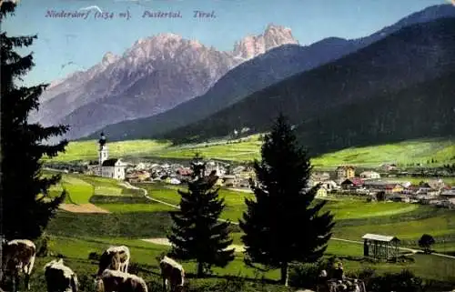 Ak Villabassa Niederdorf im Pustertal Südtirol, Gesamtansicht, Kuhherde