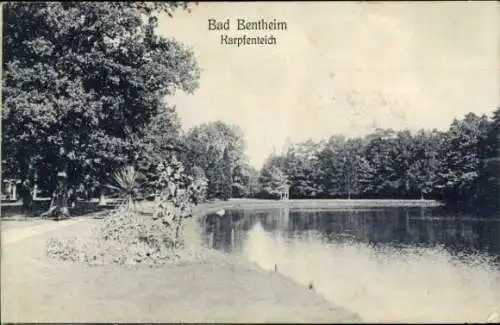 Ak Bad Bentheim in Niedersachsen,  Karpfenteich, Parklandschaft, ruhiges Gewässer