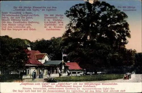 Ak Eutin in Ostholstein, Gasthof zum Uglei am Uglei See, Rieseneiche
