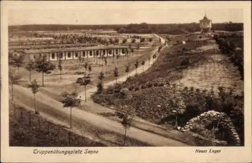 Ak Senne Bielefeld in Nordrhein Westfalen, Truppenübungsplatz  Neues Lager, Bäume, Straßenansicht