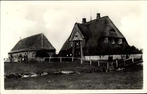 Ak Hallig Hooge in Nordfriesland, Kirche, reetgedeckte Häuser, Weideland, Zaun