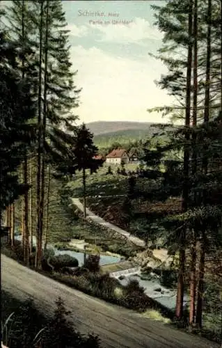 Ak Schierke Wernigerode im Harz, Blick auf  Harz, idyllische Landschaft, Bäume, Gebäude