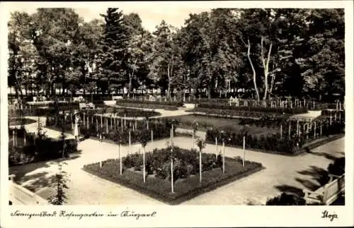 Ak Františkovy Lázně Franzensbad Reg. Karlsbad, Rosengarten im Kurpark