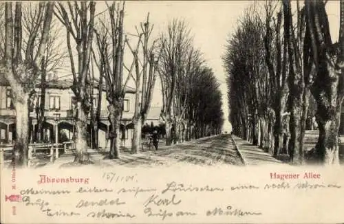 Ak Ahrensburg in Holstein, Hagener Allee