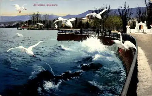 Ak Zürichsee, Brandung, Möwen