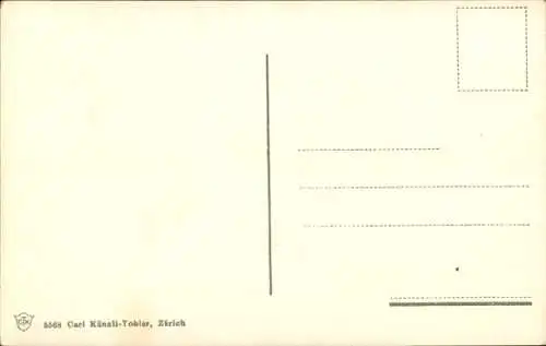 Ak Zürichsee, Brandung, Möwen