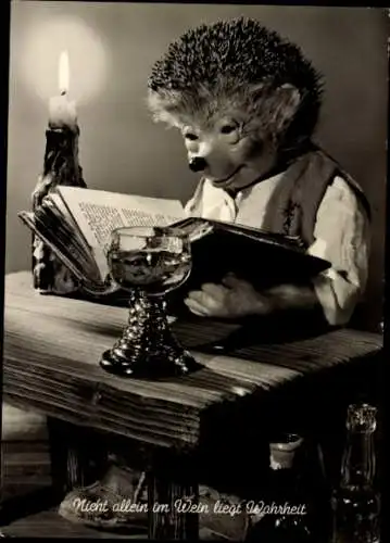 Ak Mecki der Igel liest ein Buch, Nicht allein im Wein liegt Wahrheit