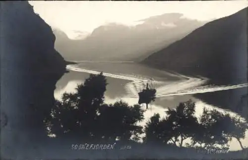 Ak Sognefjord Norwegen, Panorama, Dampfer