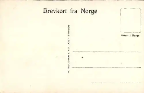 Ak Sognefjord Norwegen, Panorama, Dampfer