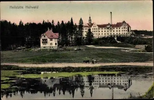 Ak Hohwald Neustadt in Sachsen, Heilstätte Hohwald