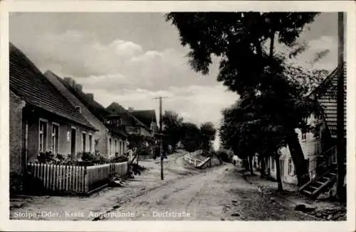 Ak Stolpe an der Oder Angermünde in der Uckermark, Dorfstraße