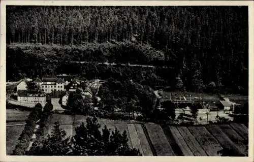 Ak Luisenthal im Thüringer Wald, Gasthof Luisenthal, Schwimmbad