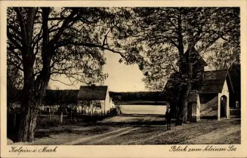 Ak Colpin Kolpin Reichenwalde Brandenburg, Landschaft mit Bäumen, Blick auf See, Gebäude im Vorde