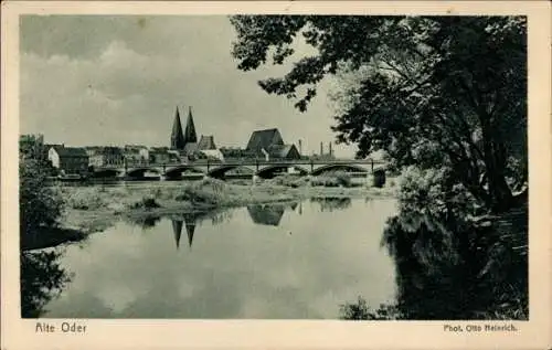 Ak Frankfurt an der Oder, Alte Oder, Flusslandschaft, Gebäude, Brücke, Fotografie von Otto Heinri
