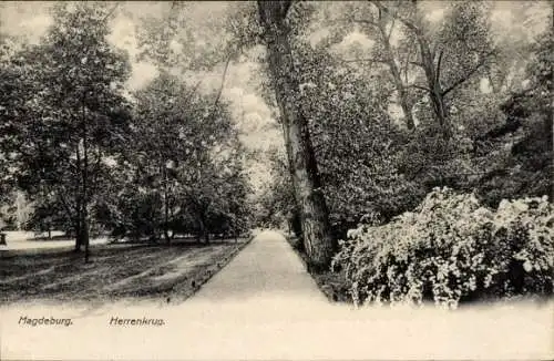 Ak Herrenkrug Magdeburg, Magdeburg. Herrenkrug.