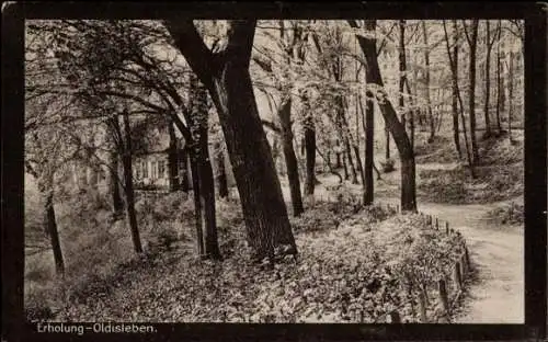 Ak Oldisleben am Kyffhäuser Thüringen, Erholung- Baumallee, Weg, Park, Schwarz-Weiß-Bild
