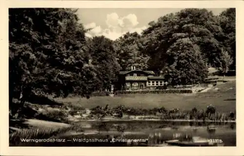 Ak Christianental Wernigerode im Harz, Waldgasthaus Christianental, Harz, Teich, Bäume, Landschaf