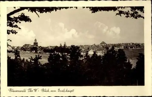 Ak Frauenwald am Rennsteig Ilmenau in Thüringen, Blick vom Esels Haupt, Landschaft mit Häusern un