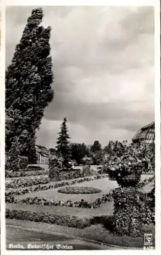 Ak Berlin Zehlendorf Wannsee, Botanischer Garten, Pflanzen, Gewächshäuser, Bäume