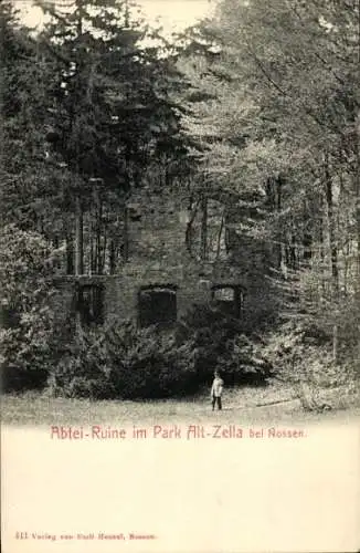 Ak Alt Zella Nossen in Sachsen, Abtei-Ruine im Park