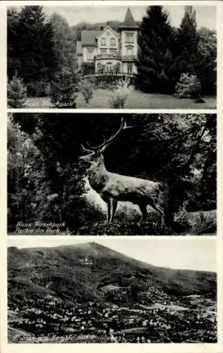 Ak Alsbach Hähnlein Hessen, Panorama, Haus Hirschpark