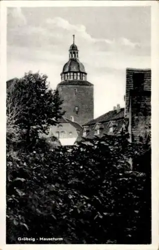 Ak Gröbzig in Anhalt, Mauseturm in   Architektur, Natur im Vordergrund
