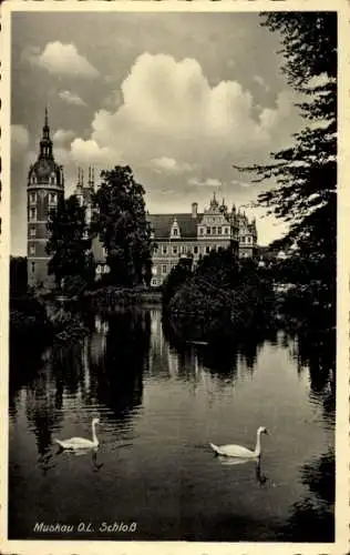 Ak Bad Muskau Oberlausitz, Schlossteich, Schwäne