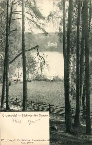 Ak Berlin Wilmersdorf Grunewald, Blick von den Bergen