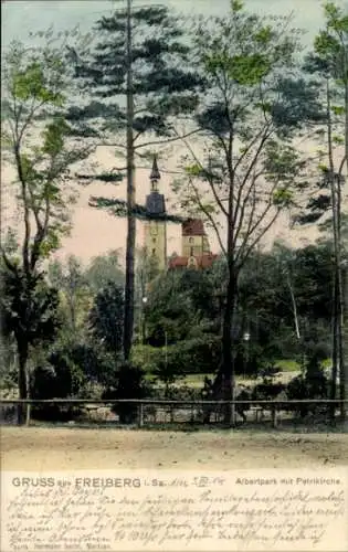 Ak Freiberg in Sachsen, Albertpark, Petrikirche