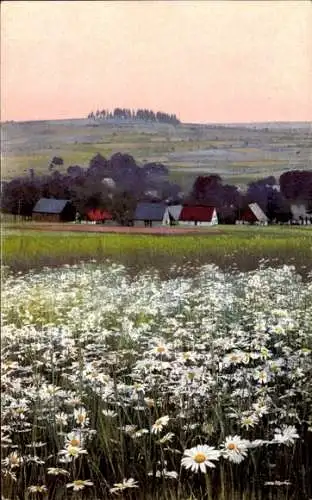 Ak Mildenau Erzgebirgskreis, Nenke und Ostermaier Serie IV, Blick über die Blumenwiese zum Ort