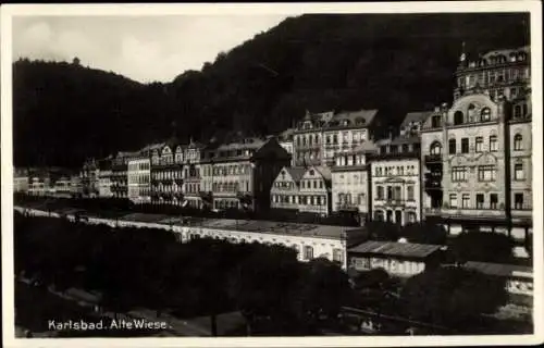 Ak Karlsbad, Alte Wiese, Blick auf Häuser, Berge, Wald
