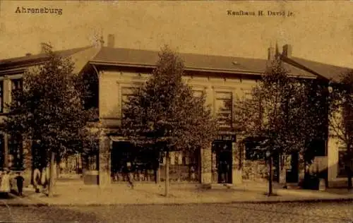 Ak Ahrensburg in Holstein, Kaufhaus H. David jr.