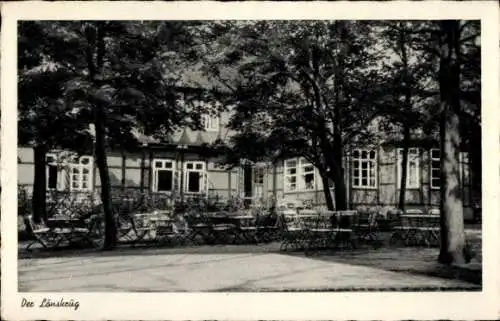 Ak Winkel Gifhorn in Niedersachsen, Der Lönskrug, Inh. Karl Waletzky, Gartenansicht
