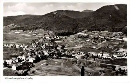 Ak Hambach Neustadt an der Weinstraße, Fliegeraufnahme