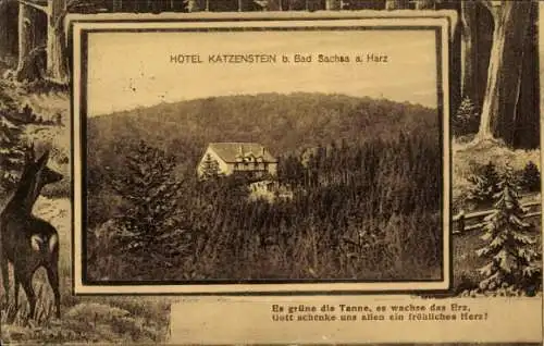 Ak Bad Sachsa im Harz, Hotel Katzenstein, Waldlandschaft,  