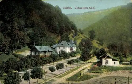 Ak Busteni Große Walachei Rumänien, Blick auf den Tunnel
