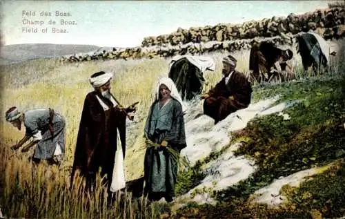 Ak Israel, Field of Boaz