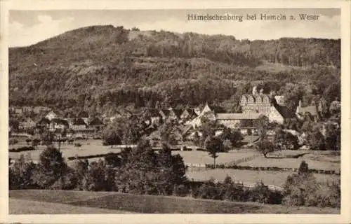 Ak Hämelschenburg Amelgatzen Emmerthal im Weserbergland, Gesamtansicht