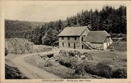 Ak Stadtoldendorf in Niedersachsen, Hoop