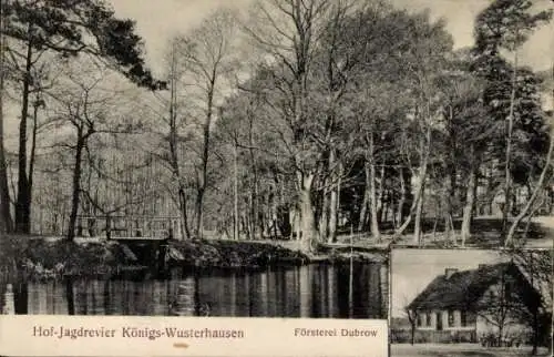 Ak Königs Wusterhausen in Brandenburg, Hof-Jagdrevier, Försterei Dubrow