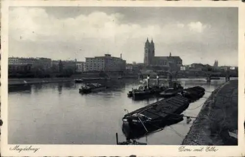 Ak Magdeburg an der Elbe,  Dom mit Elbe