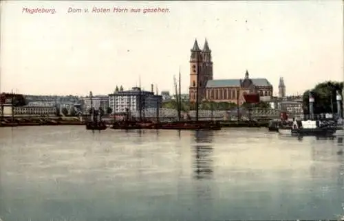 Ak Rotehorn Magdeburg an der Elbe,  Dom vom Roten Horn aus gesehen