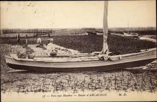 Ak Arcachon Gironde, Schau eines Austernparks, Boot auf Wasser, Arbeiten im Hintergrund
