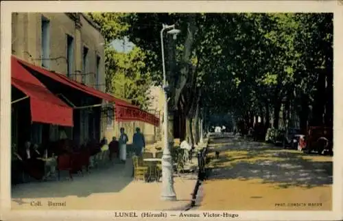 Ak Lunel Hérault, Avenue Victor-Hugo, Straßenszene, Cafés, Bäume