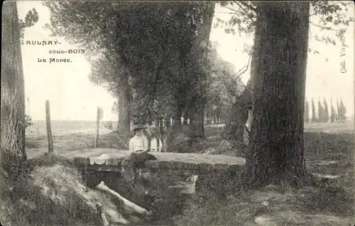 Ak Aulnay sous Bois Seine Saint Denis, Moree, Brücke, Bachlauf