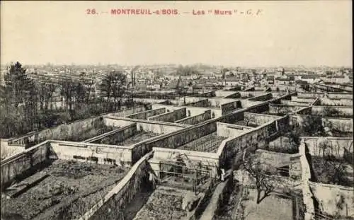Ak Montreuil sous Bois Seine Saint Denis, Les Murs, Gärten