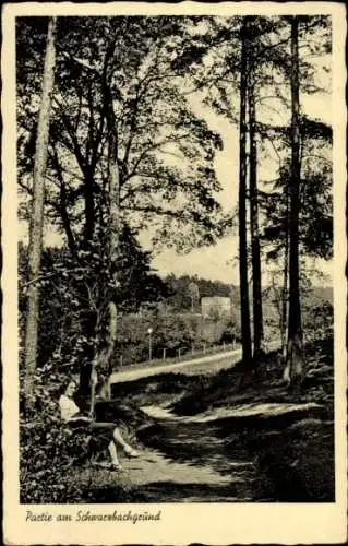 Ak Schwarzbach in Thüringen, Naturaufnahme, Flusslandschaft, Wald, Sitzende Frau