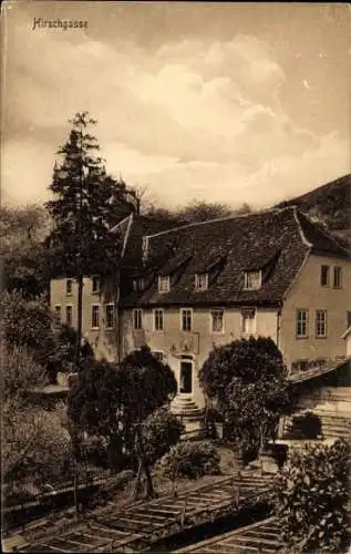 Ak Heidelberg am Neckar, Hirschgasse,  Gebäude, Bäume, ländliche Szenerie