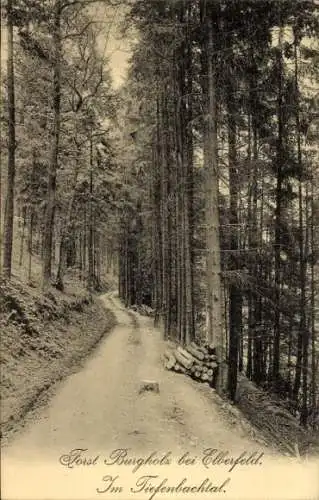 Ak Wald Elberfeld Wuppertal in Nordrhein Westfalen, Waldweg, Forst Burgholz, Tiefenbachtal, natür