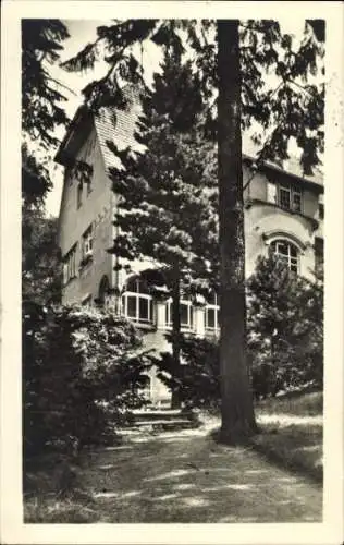 Ak Bad Gottleuba in Sachsen, Haus zwischen Bäumen, schattiger Weg, Architektur im Vordergrund
